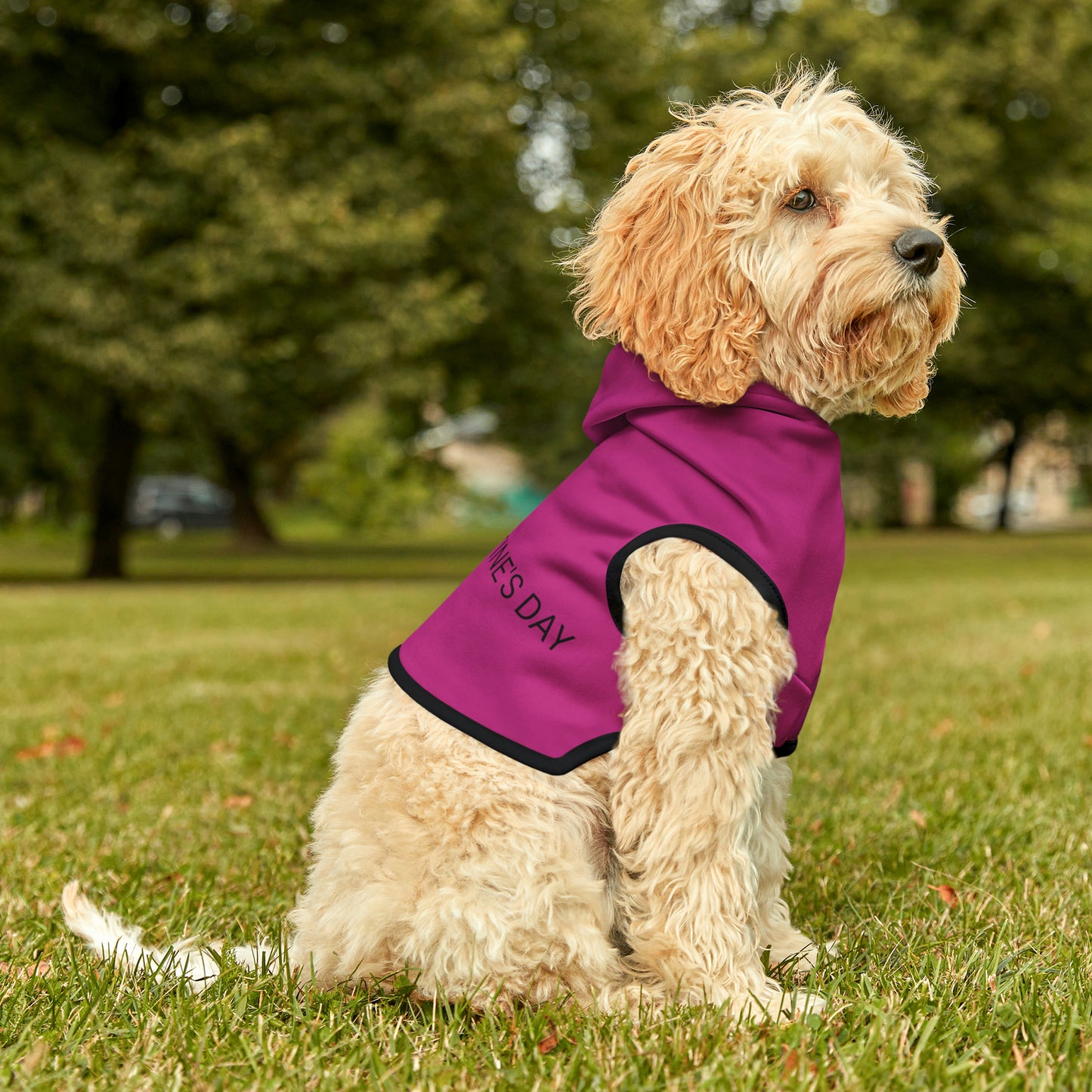 Pet Hoodie