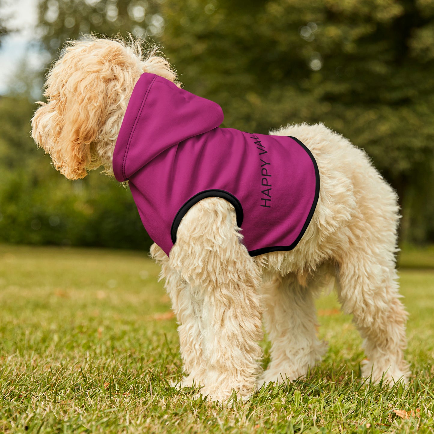 Pet Hoodie