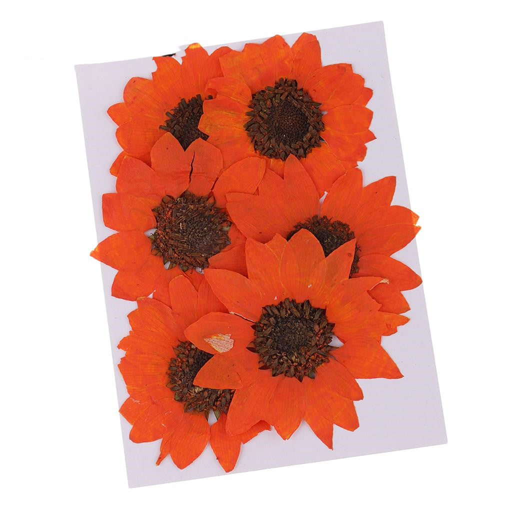 Sunflower Dried Sunflower Flower Embossing Manual Epoxy Moulding Tool